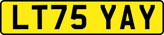 LT75YAY