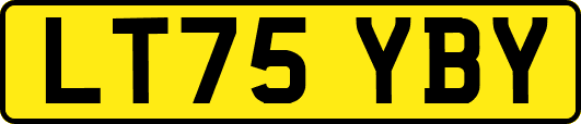 LT75YBY