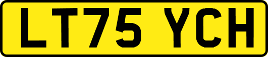 LT75YCH