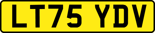 LT75YDV