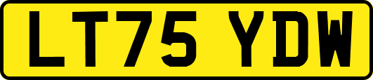 LT75YDW
