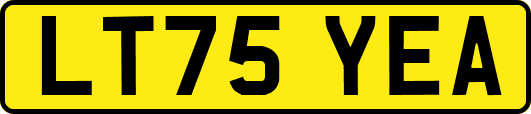 LT75YEA