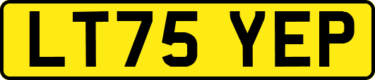 LT75YEP