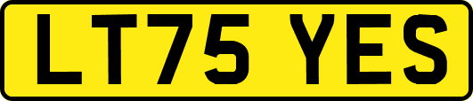 LT75YES