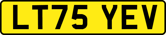 LT75YEV