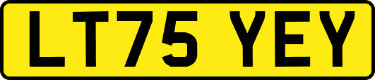 LT75YEY