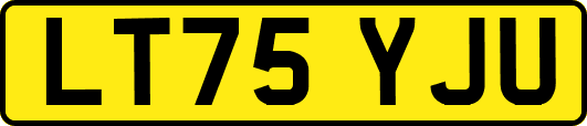 LT75YJU