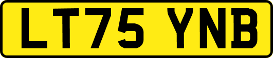 LT75YNB