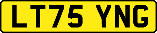 LT75YNG
