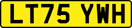 LT75YWH