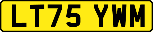 LT75YWM