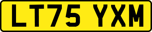 LT75YXM