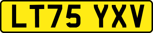 LT75YXV