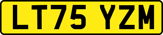 LT75YZM