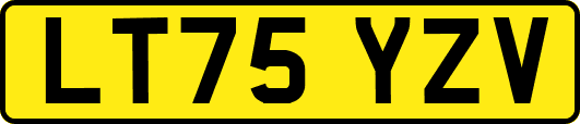 LT75YZV