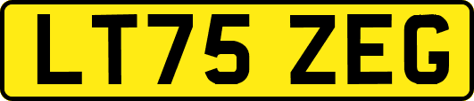 LT75ZEG