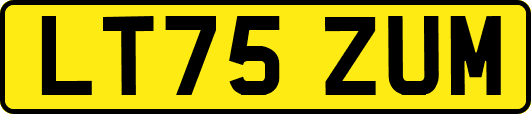 LT75ZUM