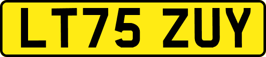 LT75ZUY