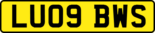 LU09BWS