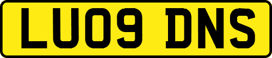 LU09DNS