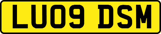 LU09DSM