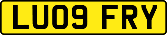 LU09FRY