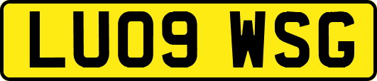 LU09WSG