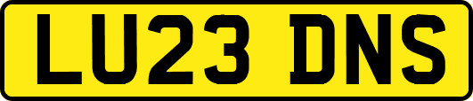 LU23DNS