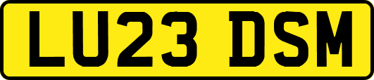 LU23DSM