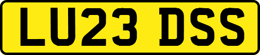LU23DSS