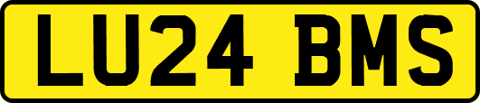 LU24BMS