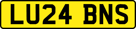 LU24BNS