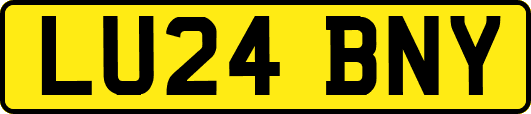 LU24BNY