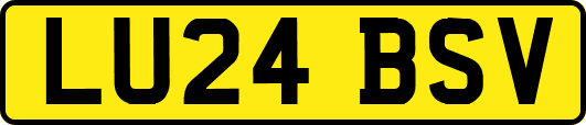 LU24BSV