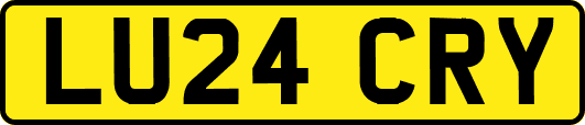 LU24CRY