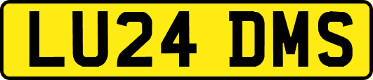 LU24DMS