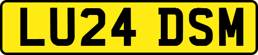 LU24DSM