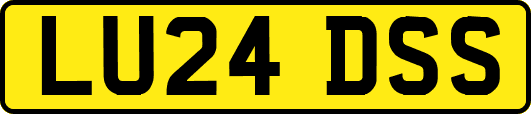 LU24DSS