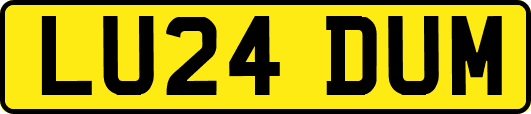LU24DUM