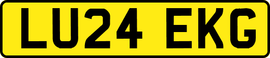 LU24EKG