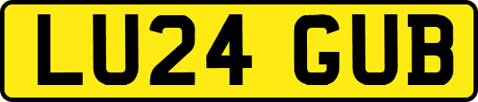 LU24GUB