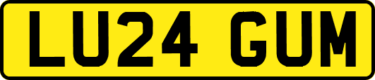 LU24GUM