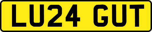 LU24GUT