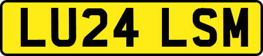LU24LSM