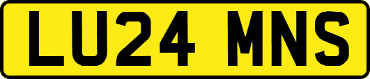 LU24MNS