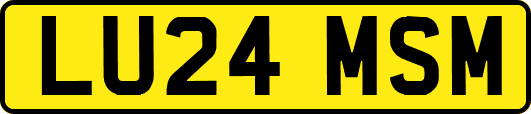 LU24MSM