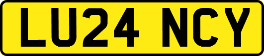 LU24NCY