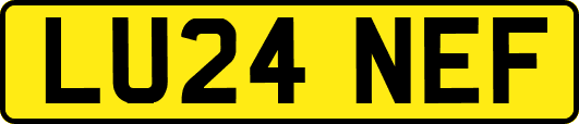 LU24NEF