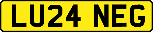 LU24NEG