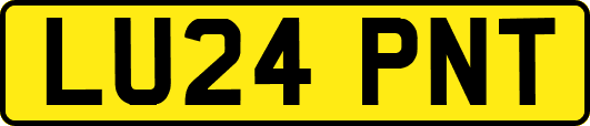 LU24PNT